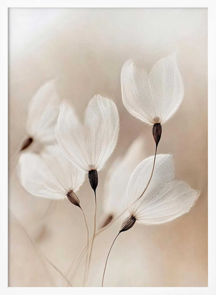 Ethereal Blossoms