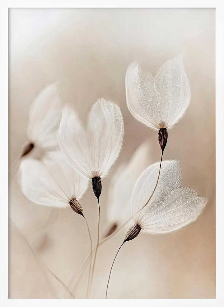 Ethereal Blossoms