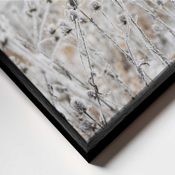 Winter Field 5