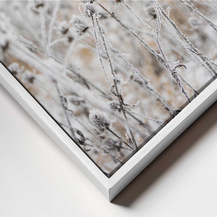 Winter Field 5