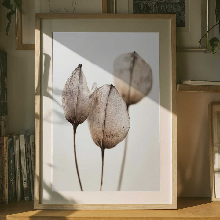 Faded Petal Trio