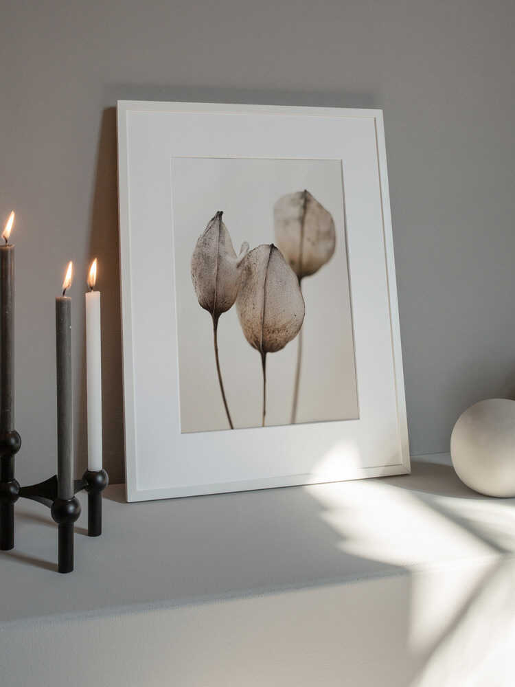 Faded Petal Trio