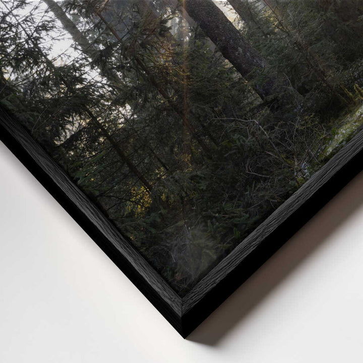 Hopeful Moments 2