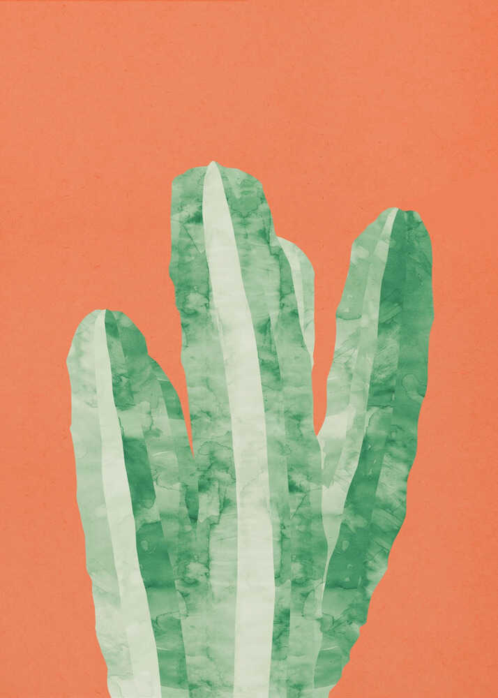 Modern Desert Cactus
