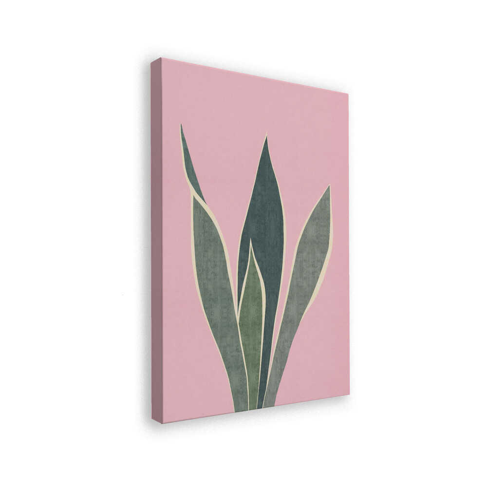 Minimal Pink Foliage