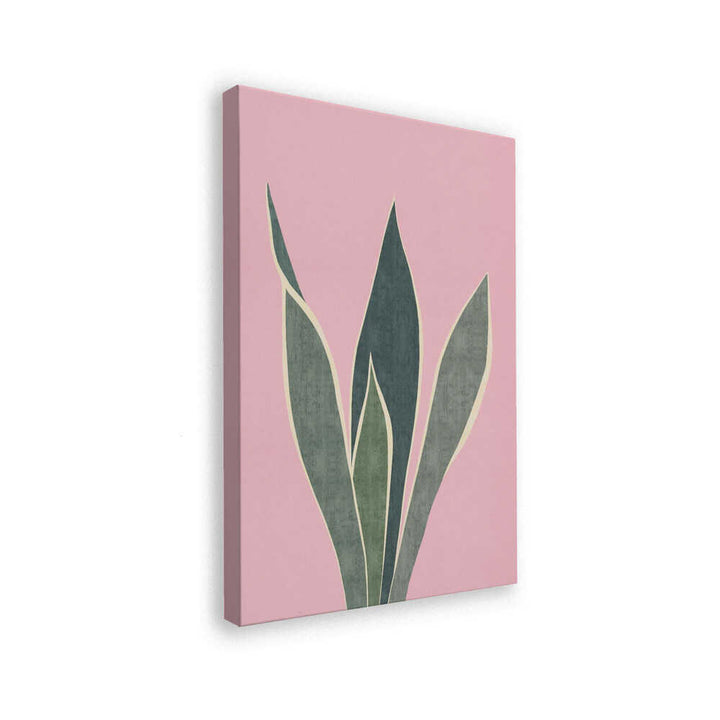 Minimal Pink Foliage