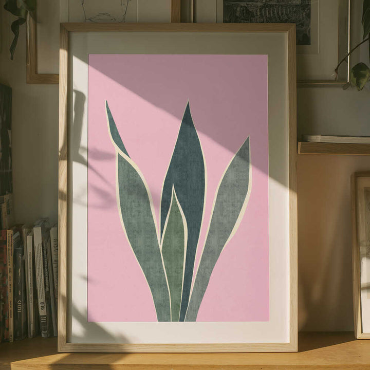 Minimal Pink Foliage
