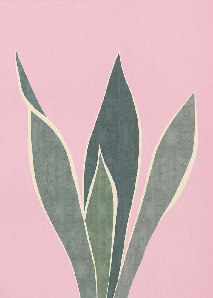 Minimal Pink Foliage
