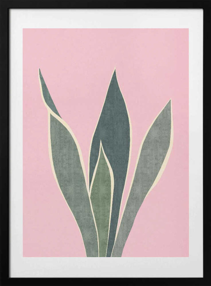 Minimal Pink Foliage