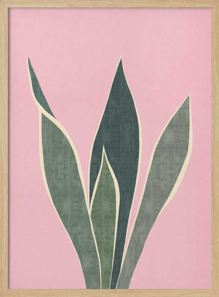 Minimal Pink Foliage