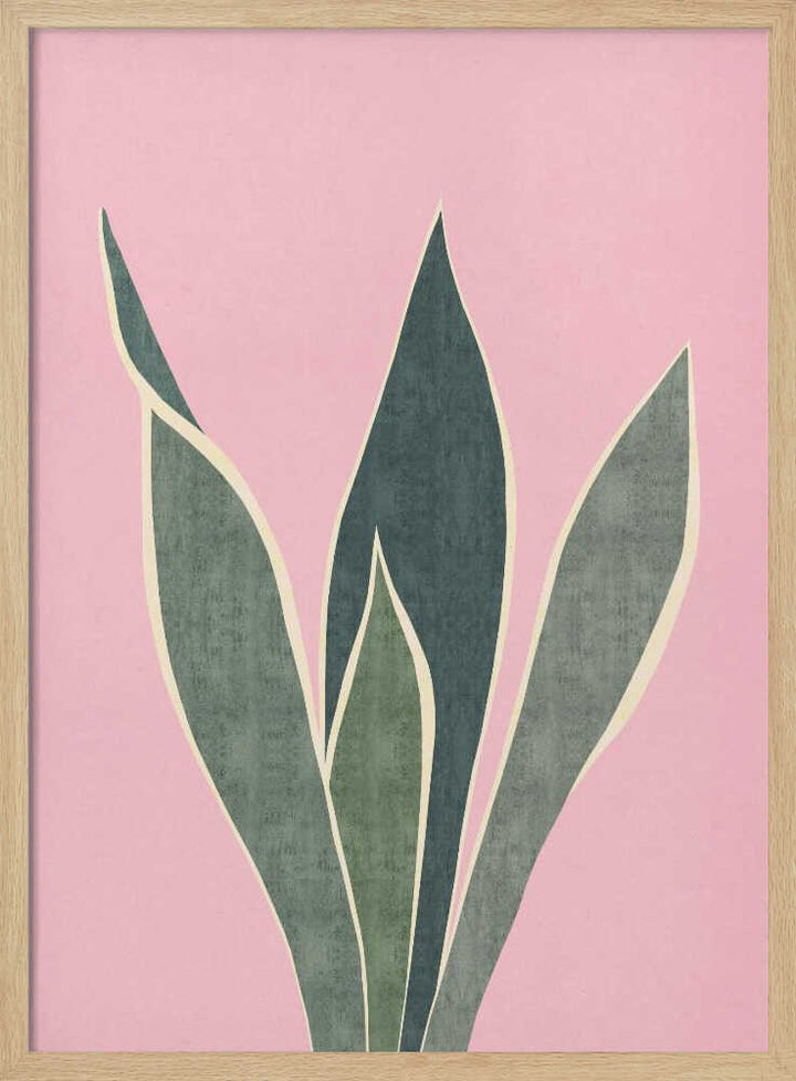 Minimal Pink Foliage