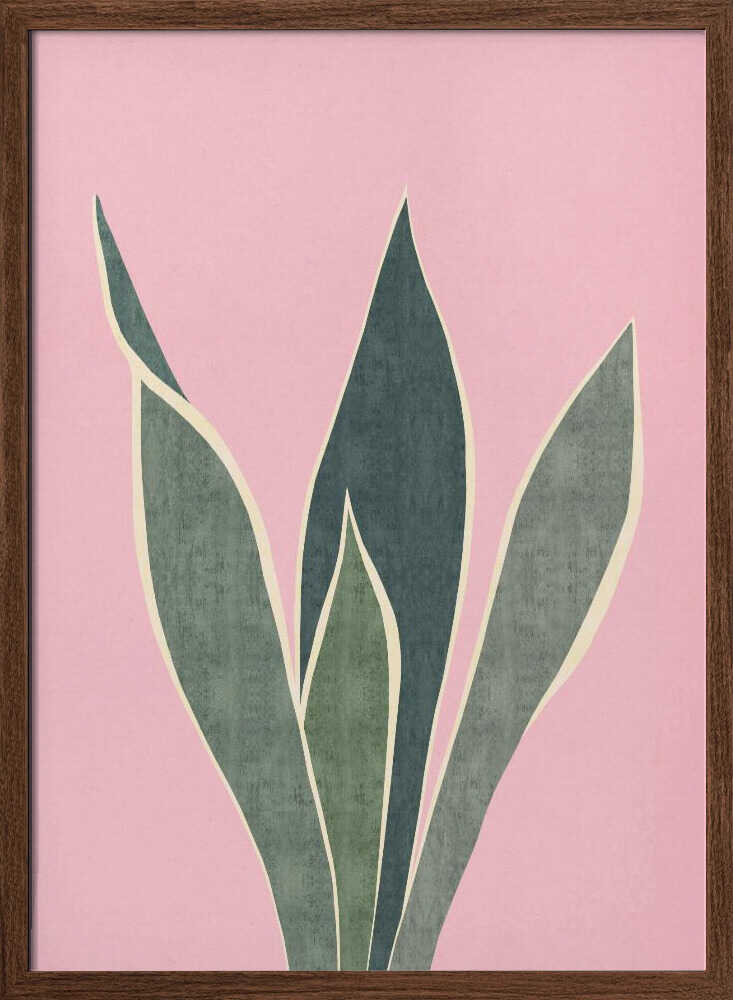 Minimal Pink Foliage