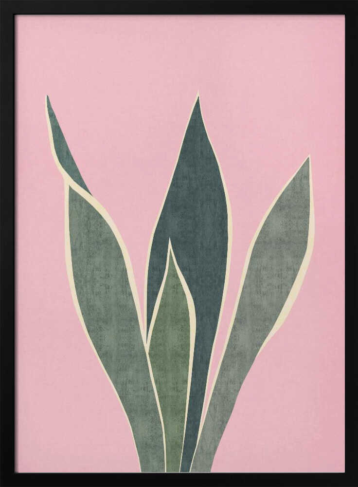 Minimal Pink Foliage