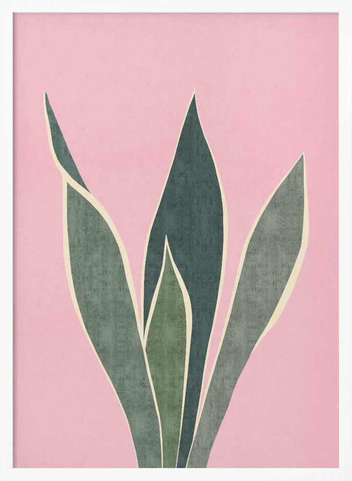 Minimal Pink Foliage