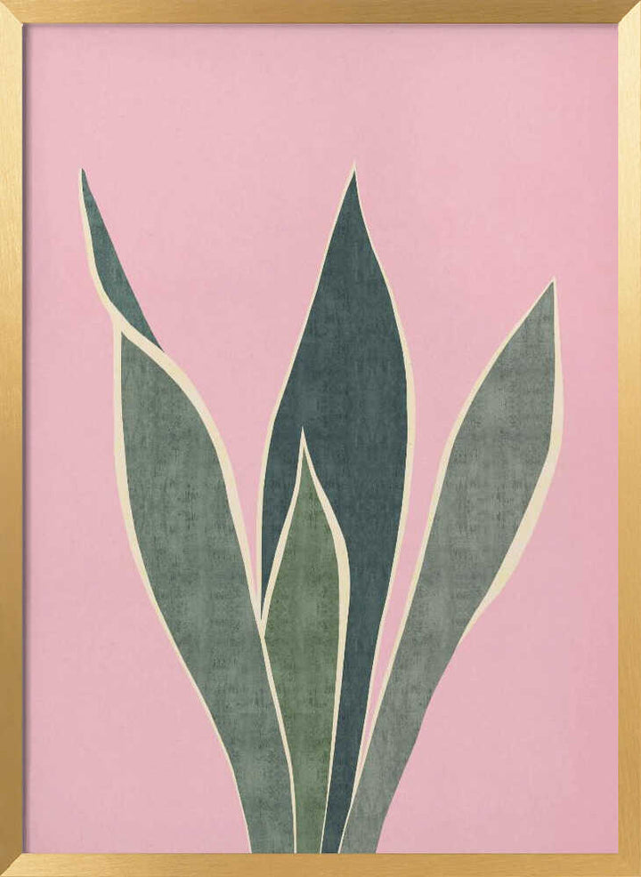 Minimal Pink Foliage