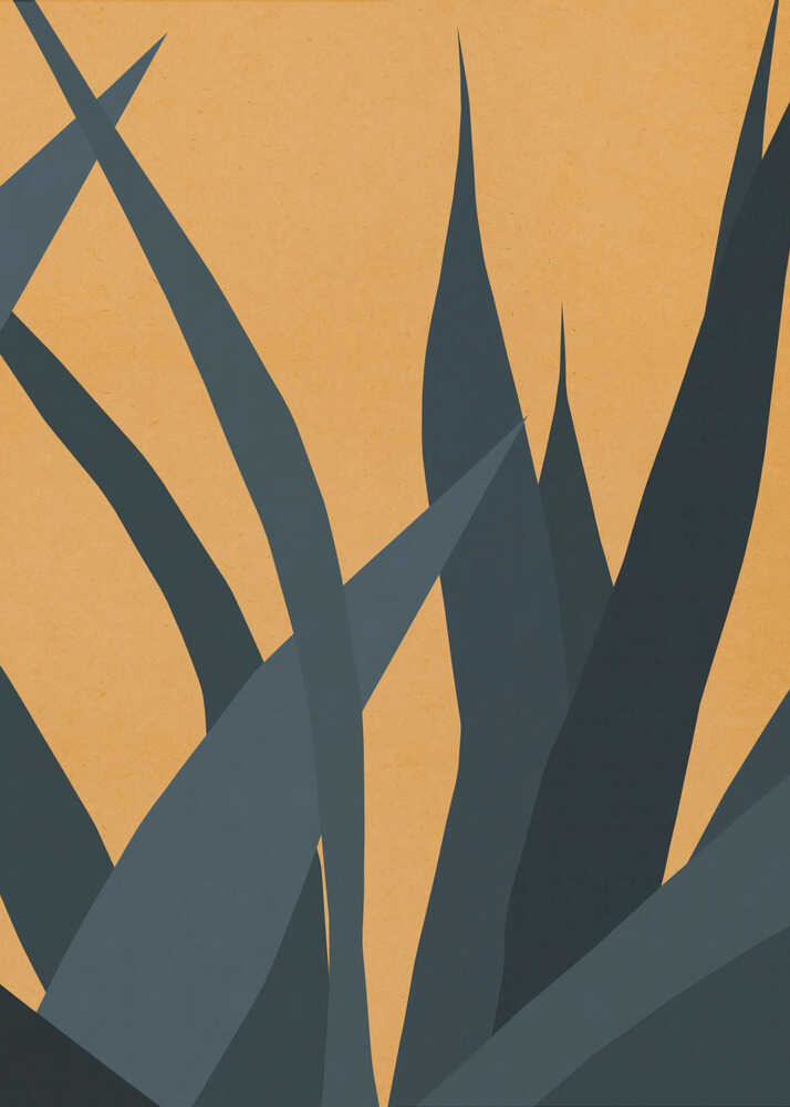 Warm Desert Foliage