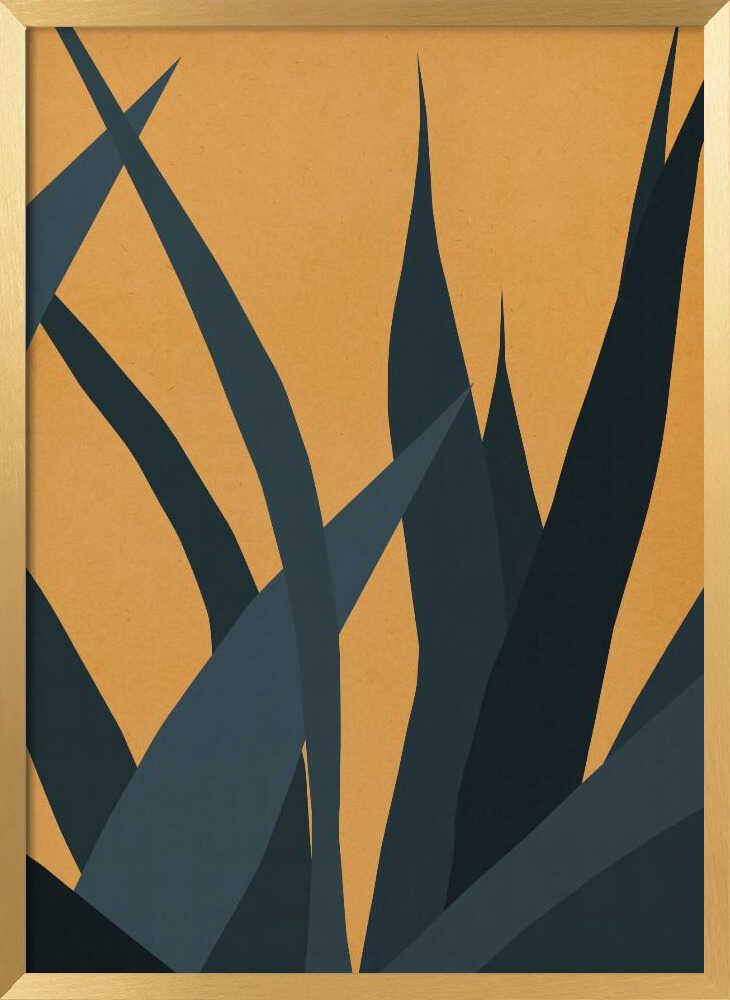 Warm Desert Foliage