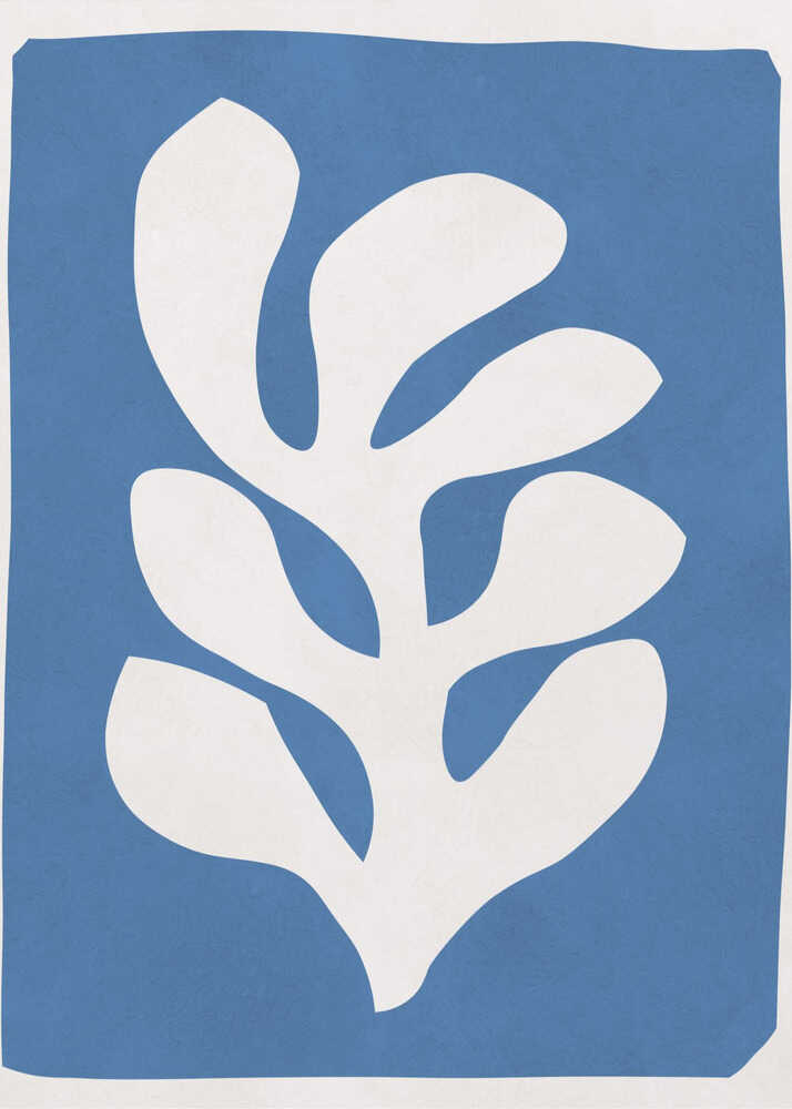 Blue Organic Plant
