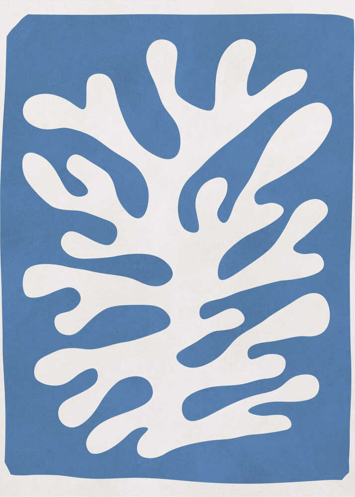 White Coral Abstract