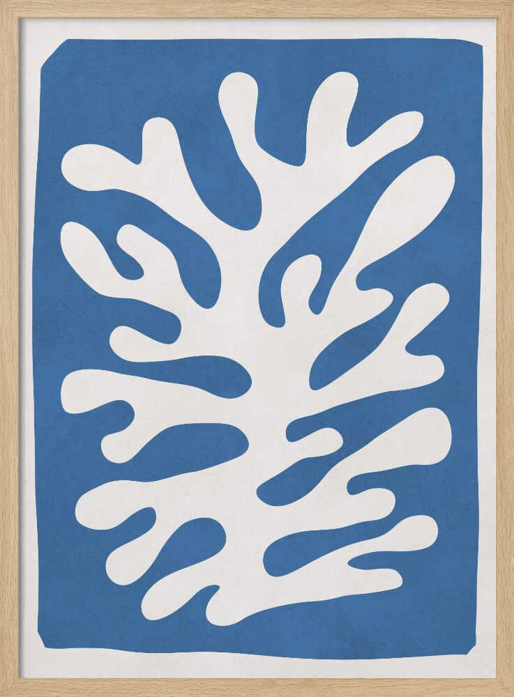 White Coral Abstract