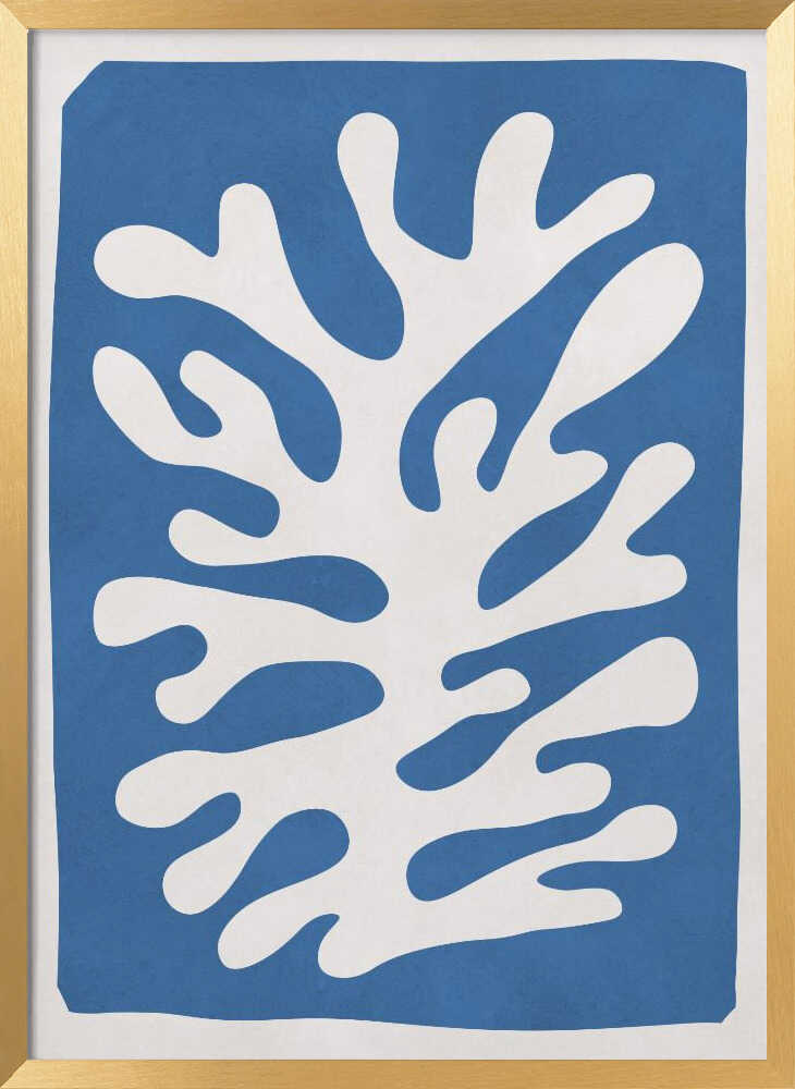 White Coral Abstract