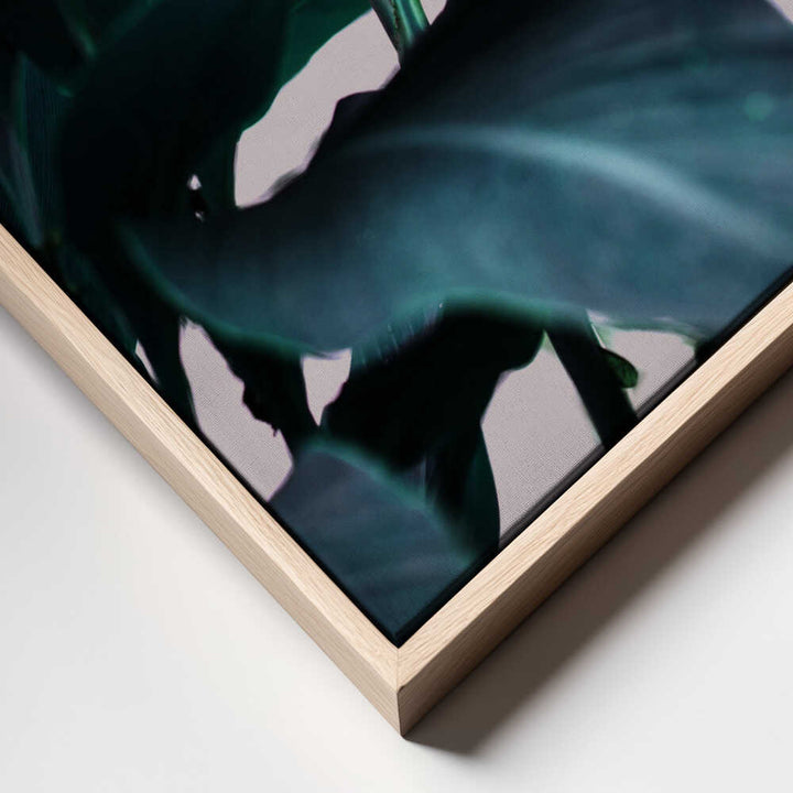 Elegance Of Tropical Leaves