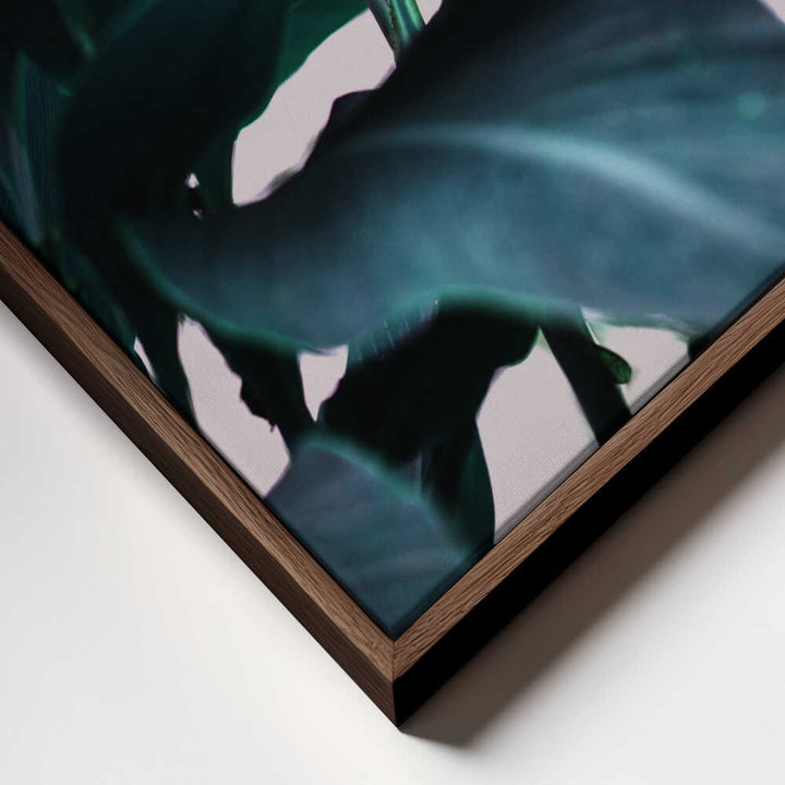 Elegance Of Tropical Leaves