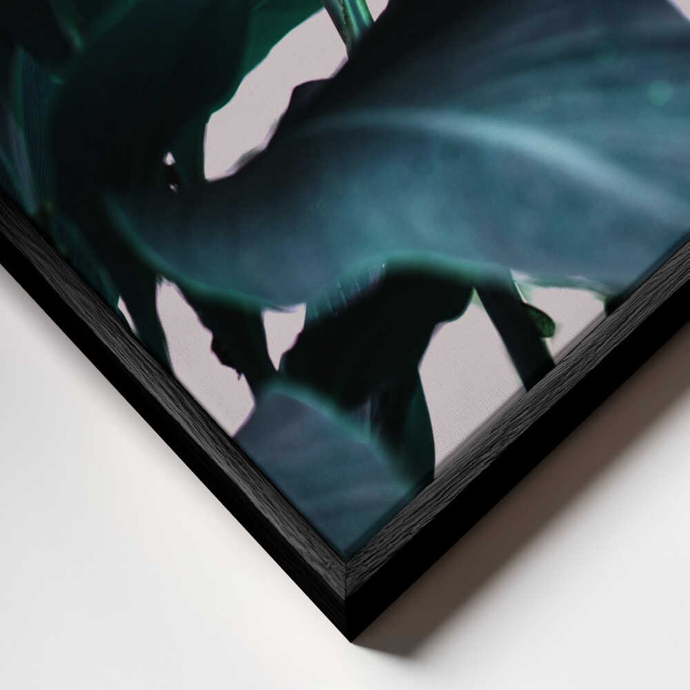 Elegance Of Tropical Leaves