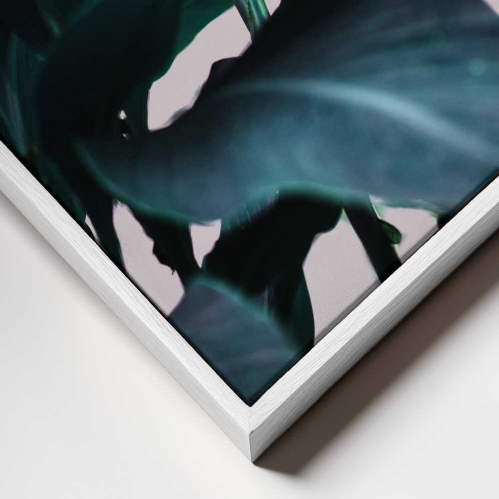 Elegance Of Tropical Leaves