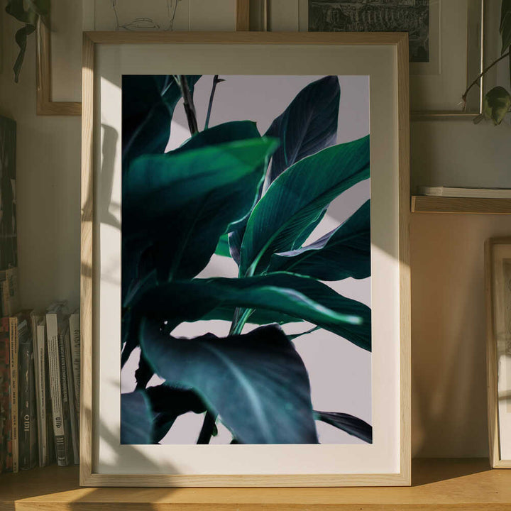 Elegance Of Tropical Leaves