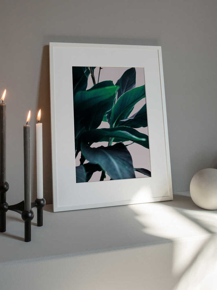 Elegance Of Tropical Leaves