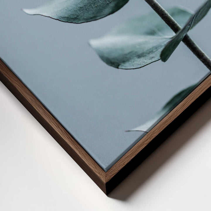Eucalyptus Leaves