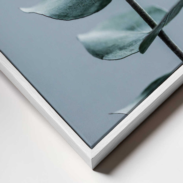Eucalyptus Leaves