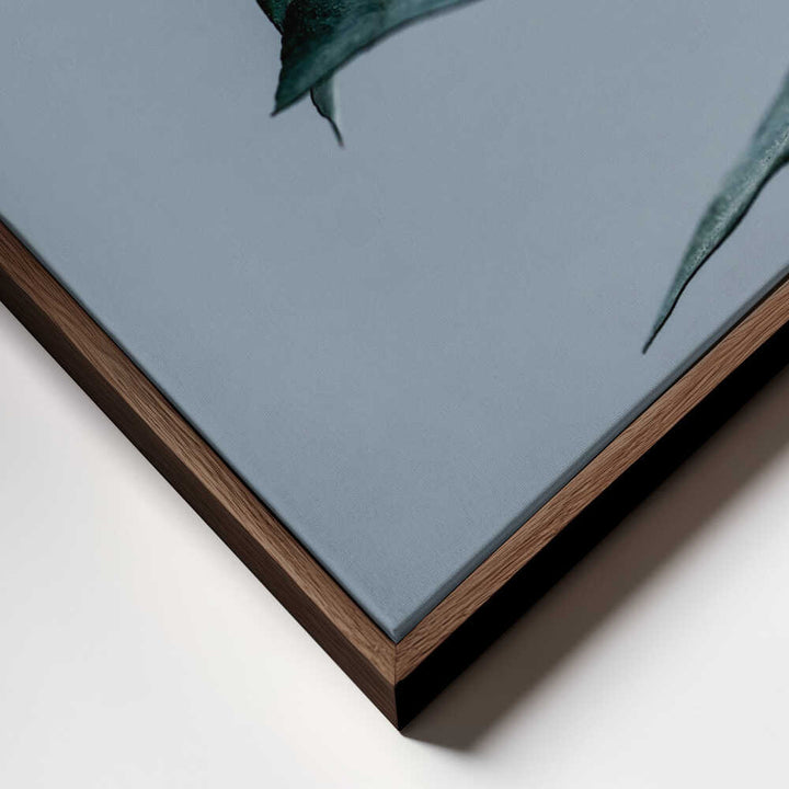 Eucalyptus Leaves
