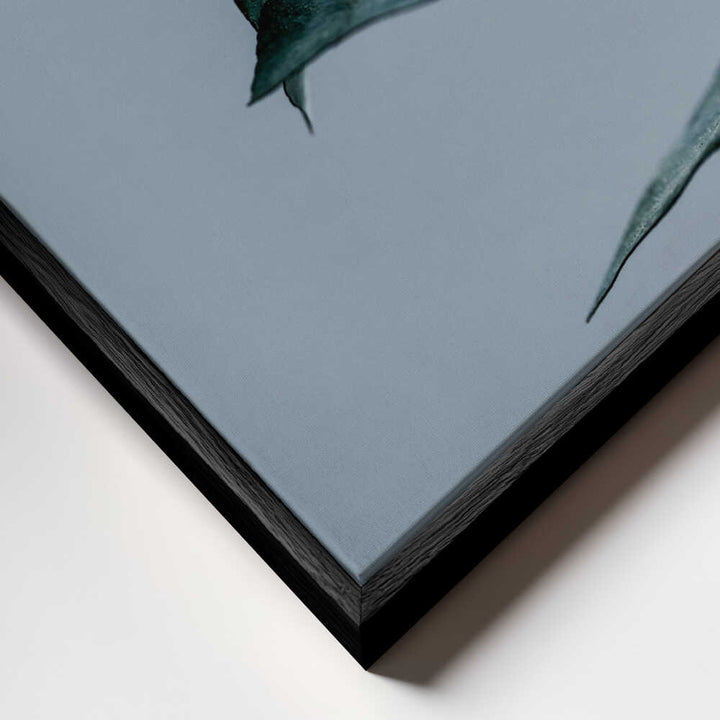 Eucalyptus Leaves