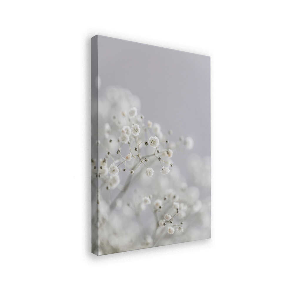 White Breath Flowers