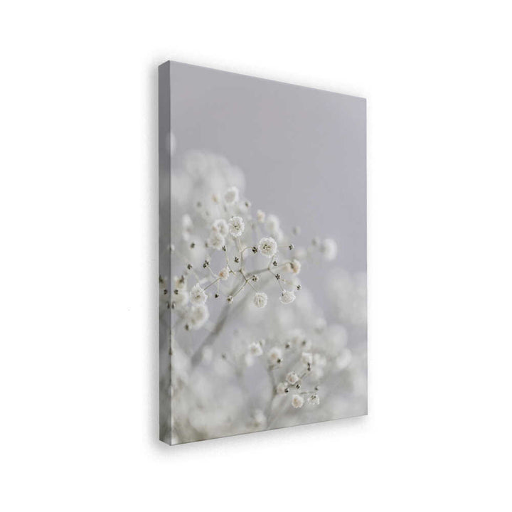 White Breath Flowers