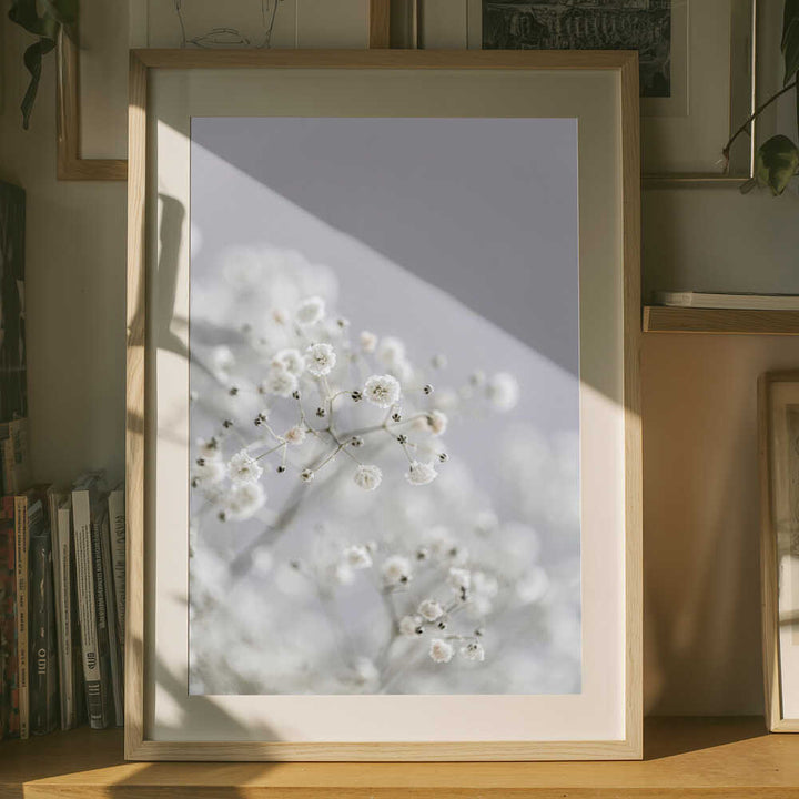 White Breath Flowers