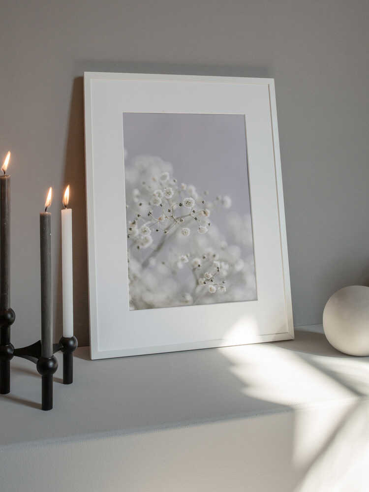 White Breath Flowers