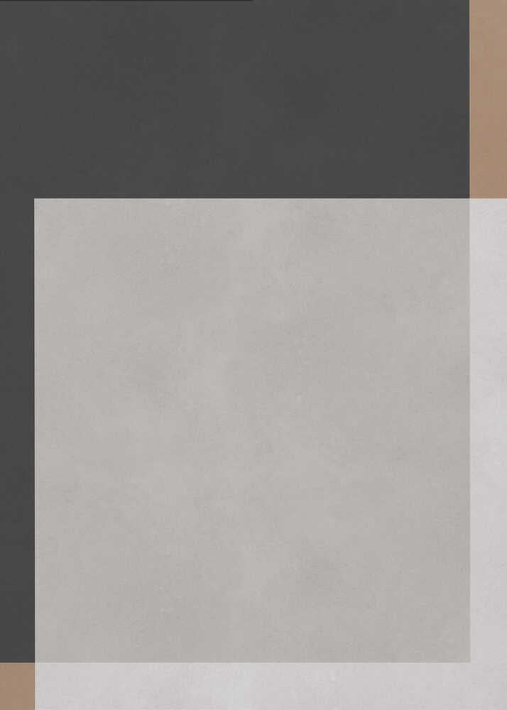 Minimalist Color Harmony