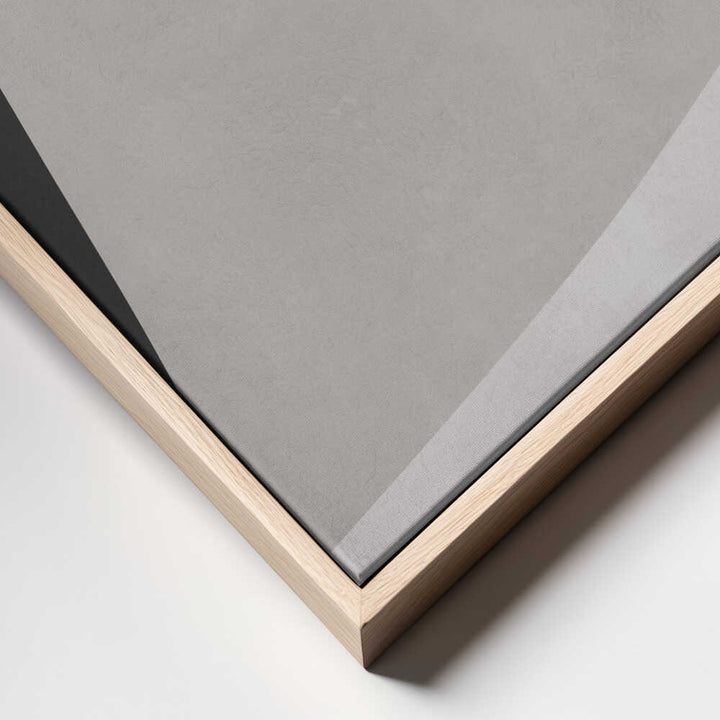 Abstract Neutral Geometric Forms