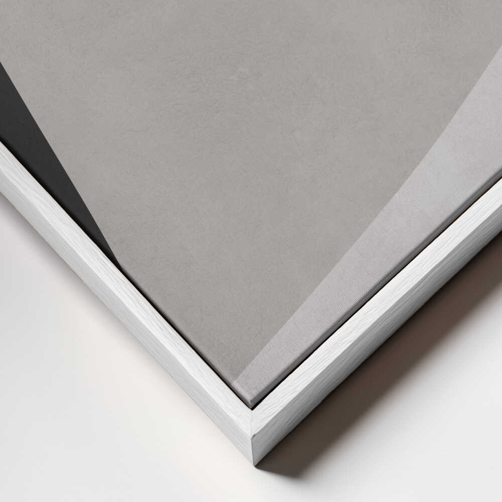 Abstract Neutral Geometric Forms