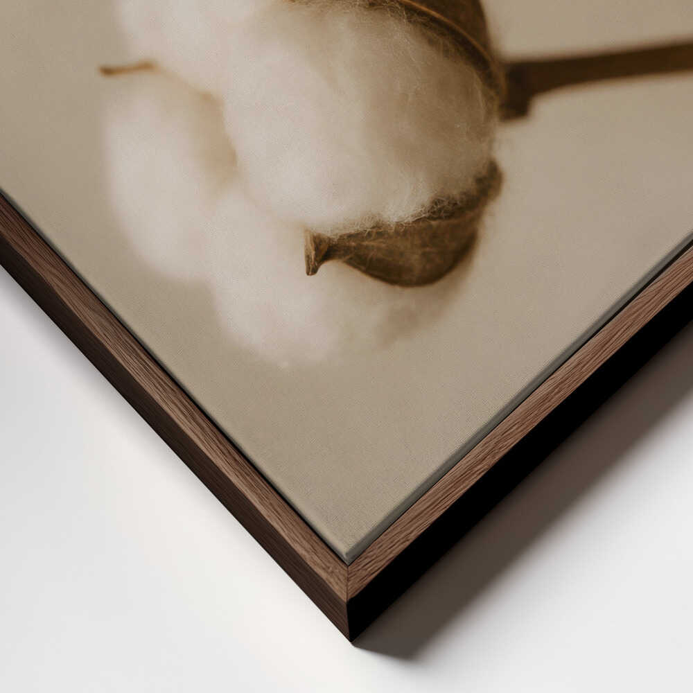Soft Cotton Dreams
