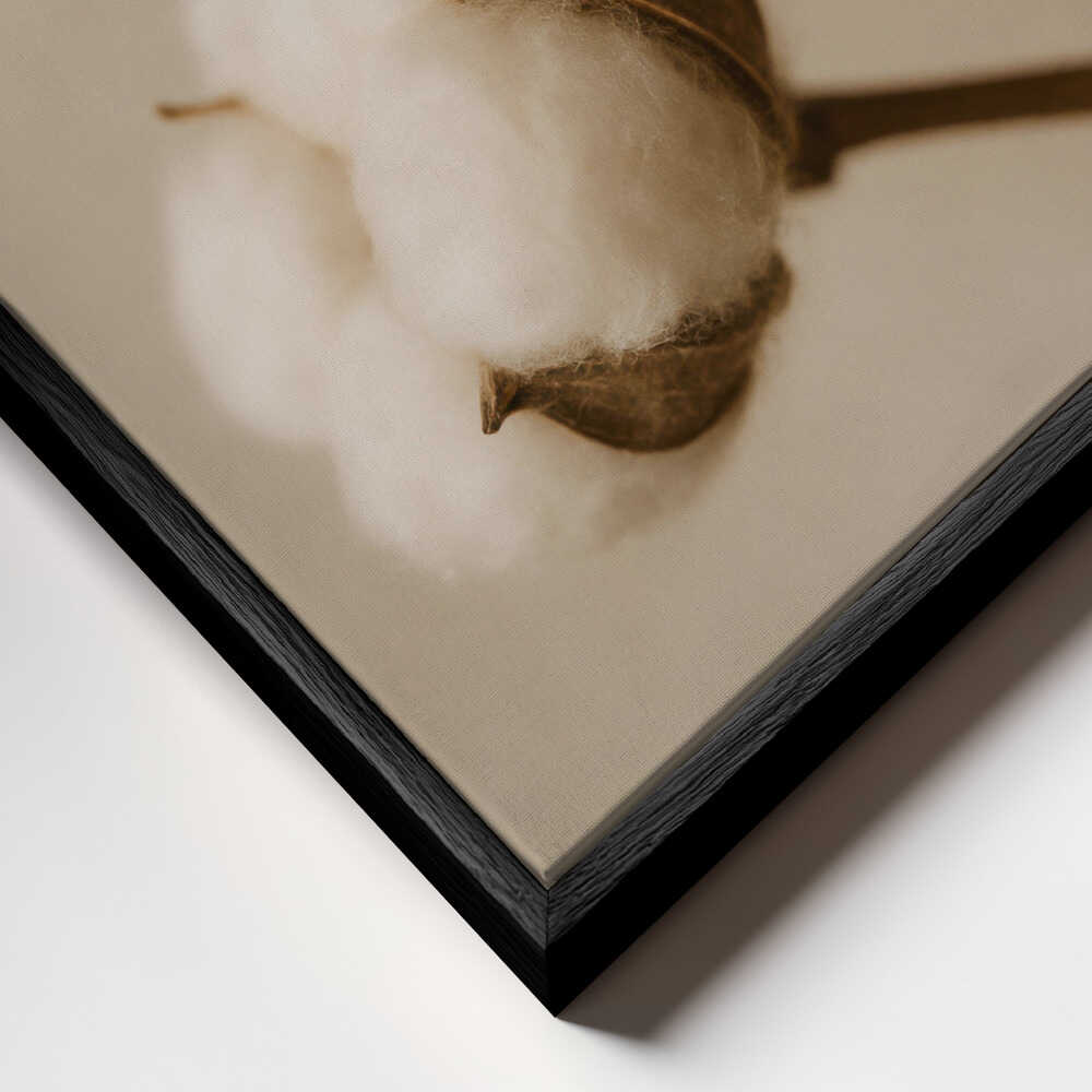 Soft Cotton Dreams