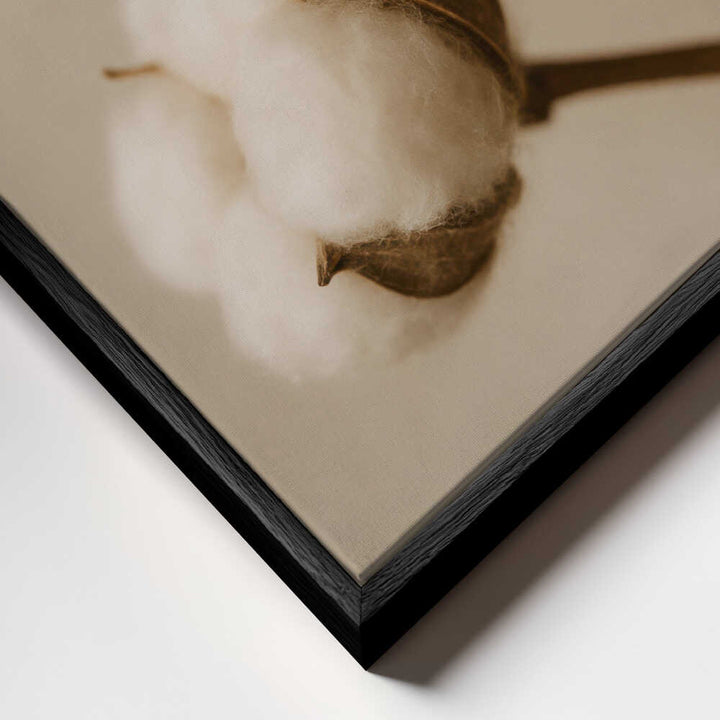 Soft Cotton Dreams