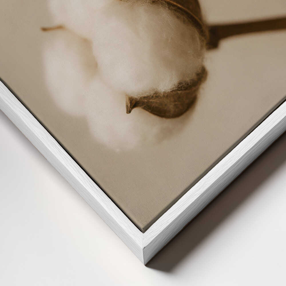 Soft Cotton Dreams