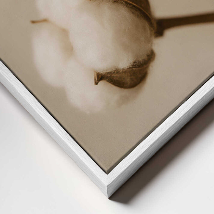 Soft Cotton Dreams