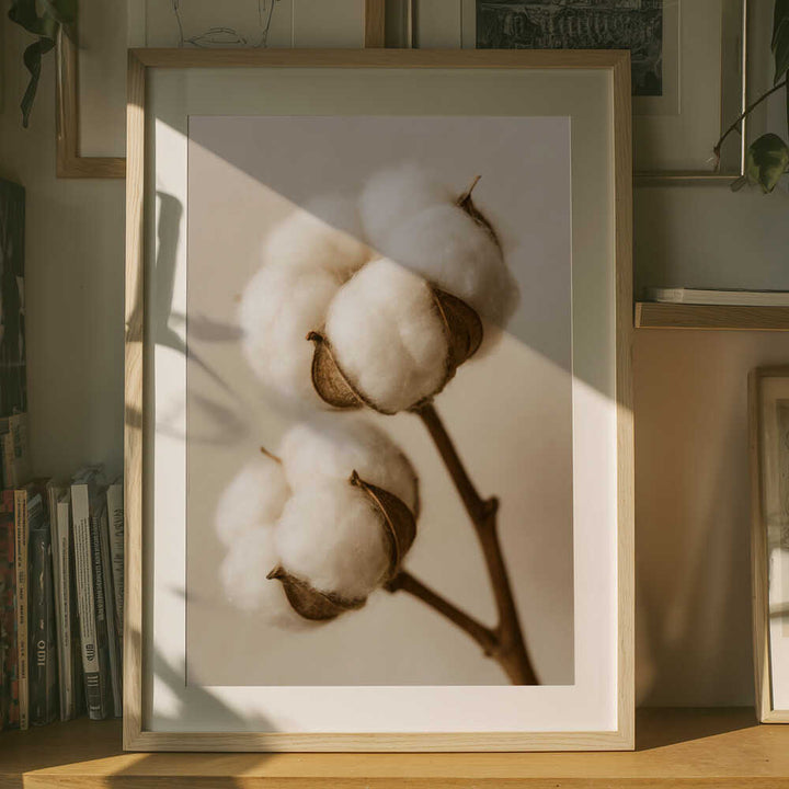Soft Cotton Dreams