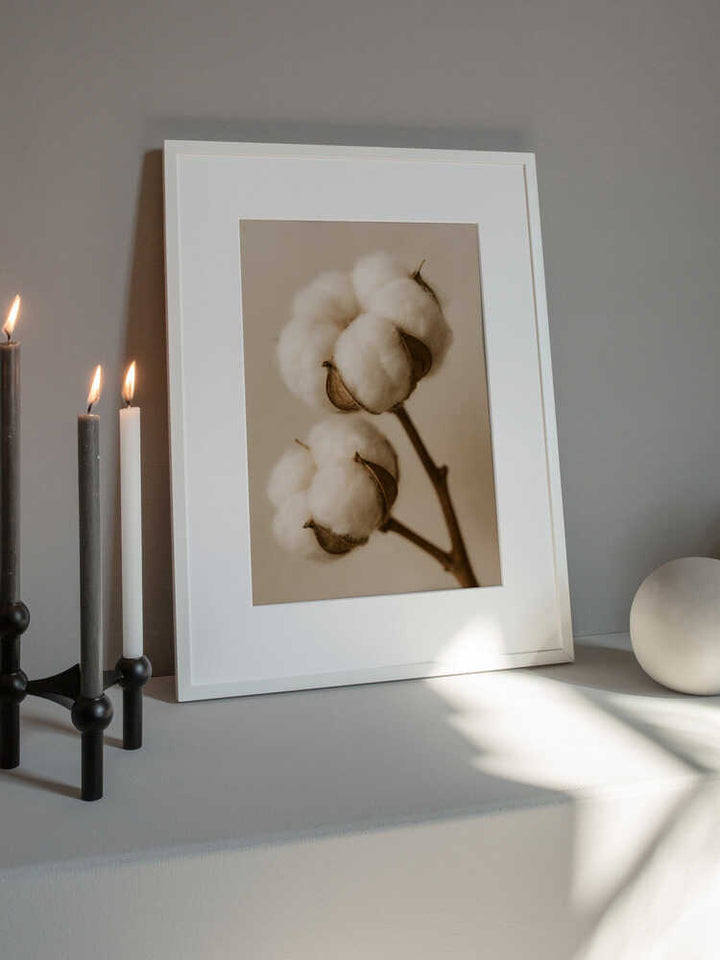 Soft Cotton Dreams