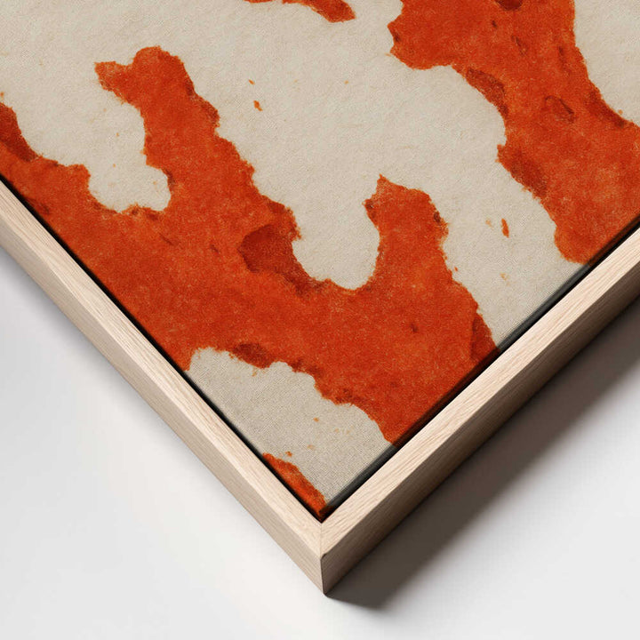 Coral Dreams